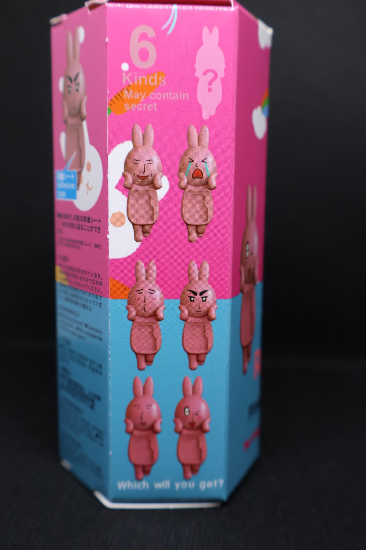Rabbit Series Mystery Figure ā Attach Me
