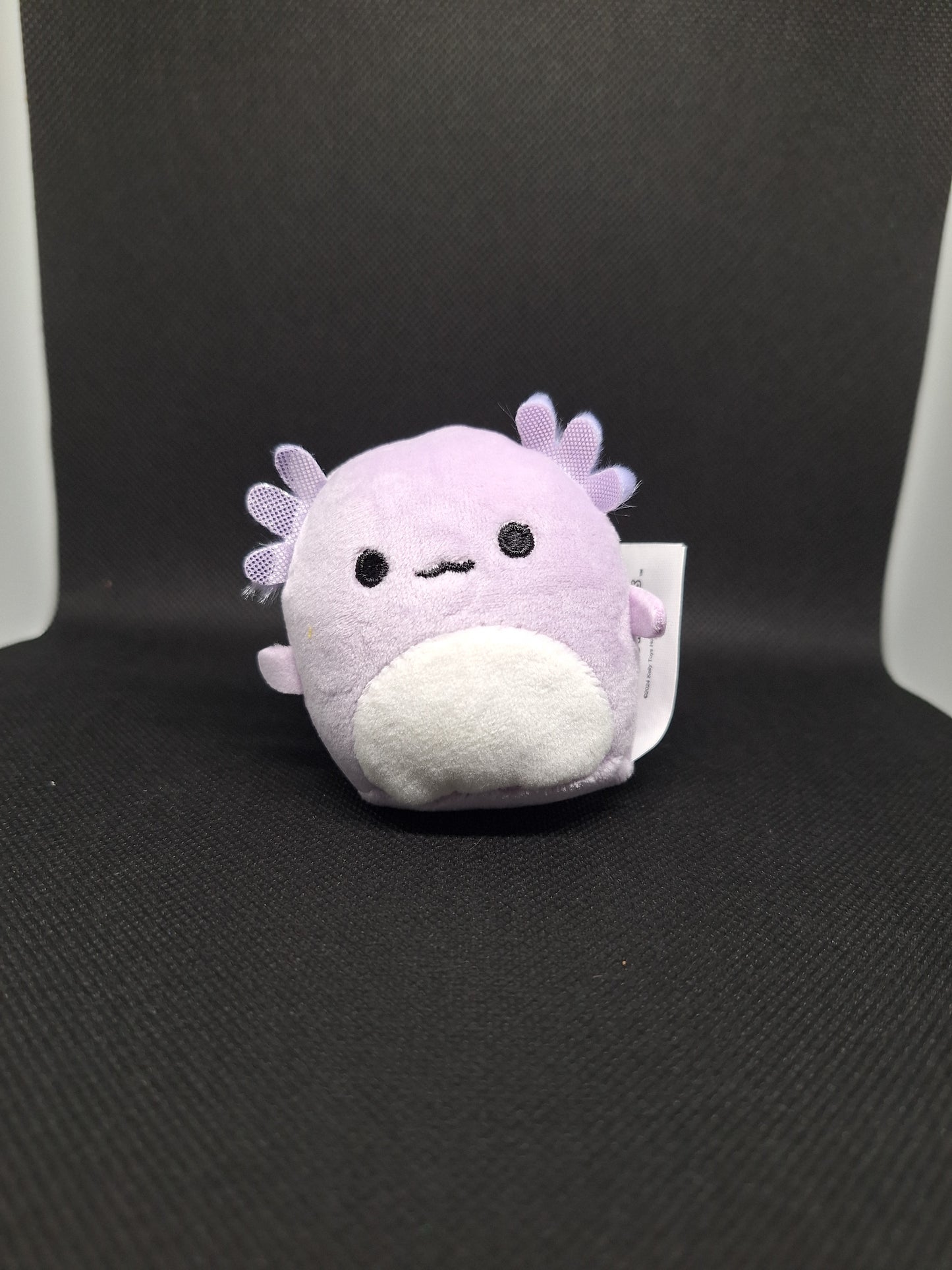 Squishmallows Mystery Squad Axolotl Plush 💜