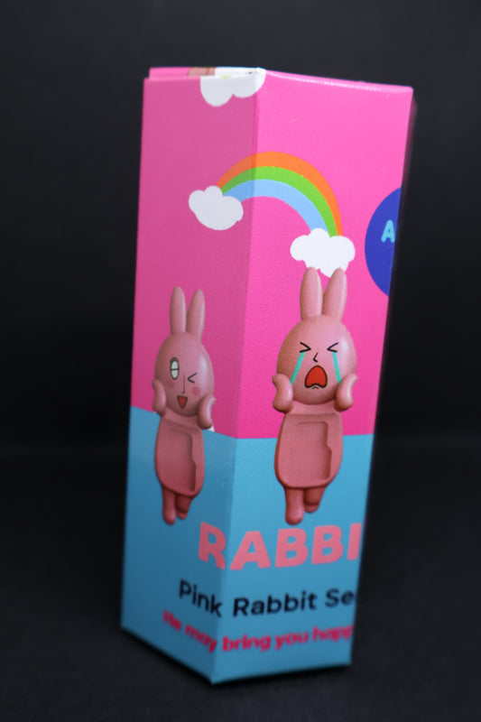 Rabbit Series Mystery Figure – Attach Me