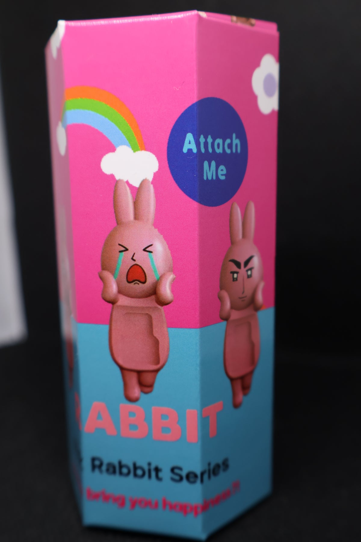 Rabbit Series Mystery Figure – Attach Me